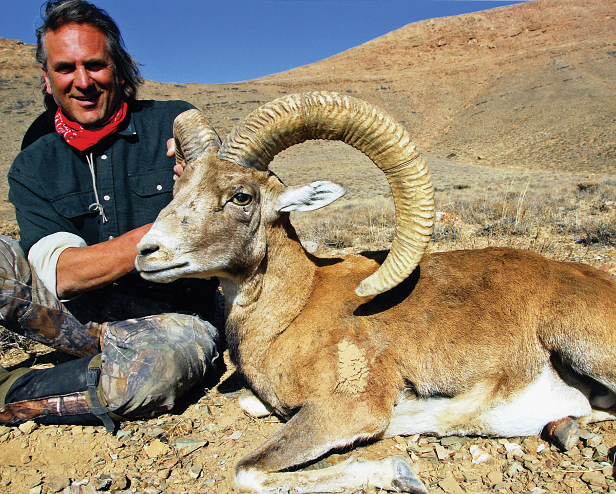Esfahan Mouflon Big Game Hunting Records Safari Club International