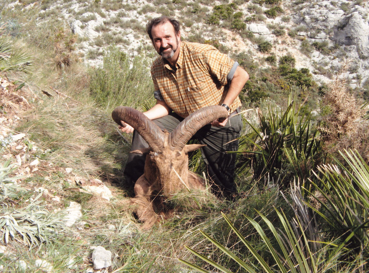 aoudad-or-barbary-sheep-europe-big-game-hunting-records-safari