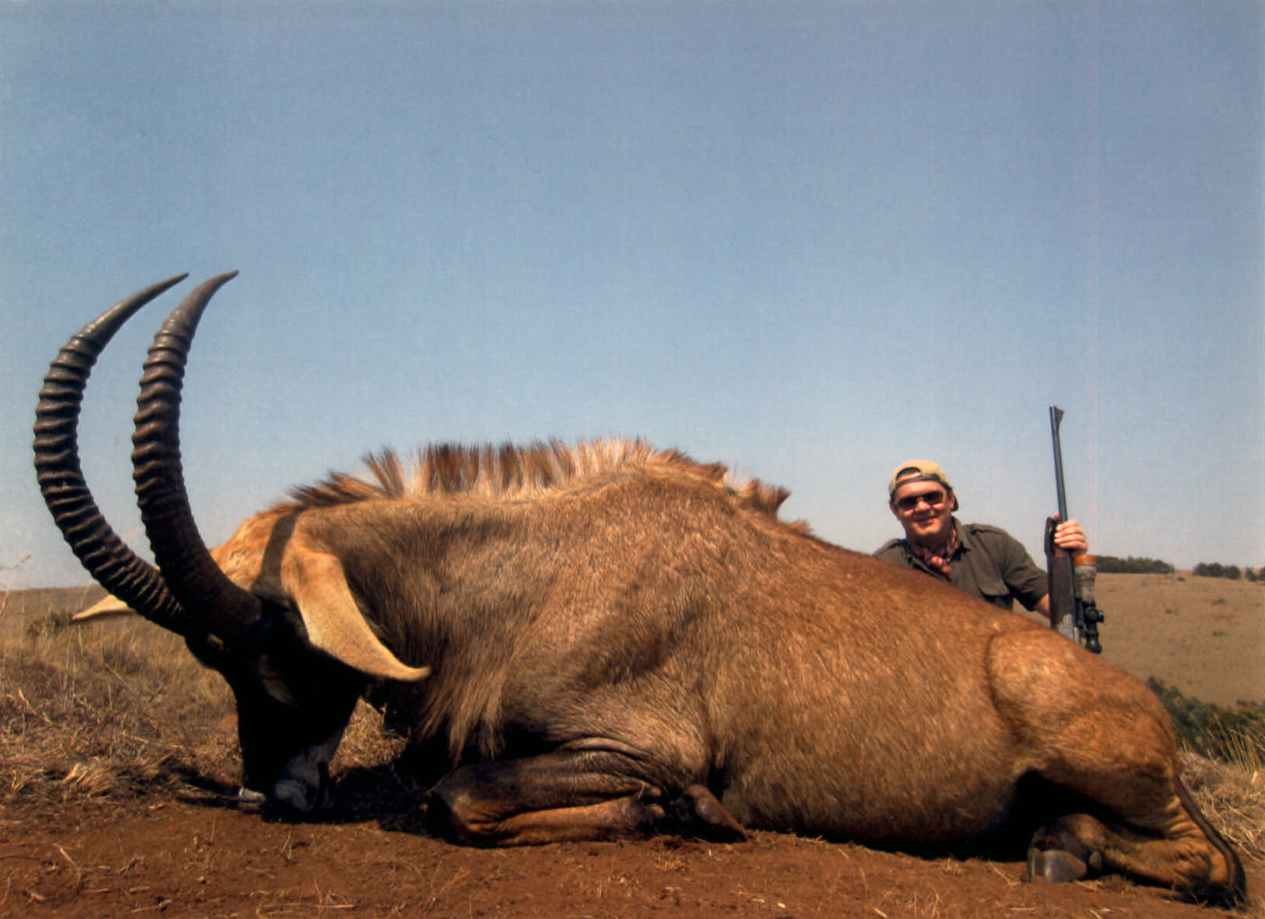Southern Roan Antelope Big Game Hunting Records Safari Club
