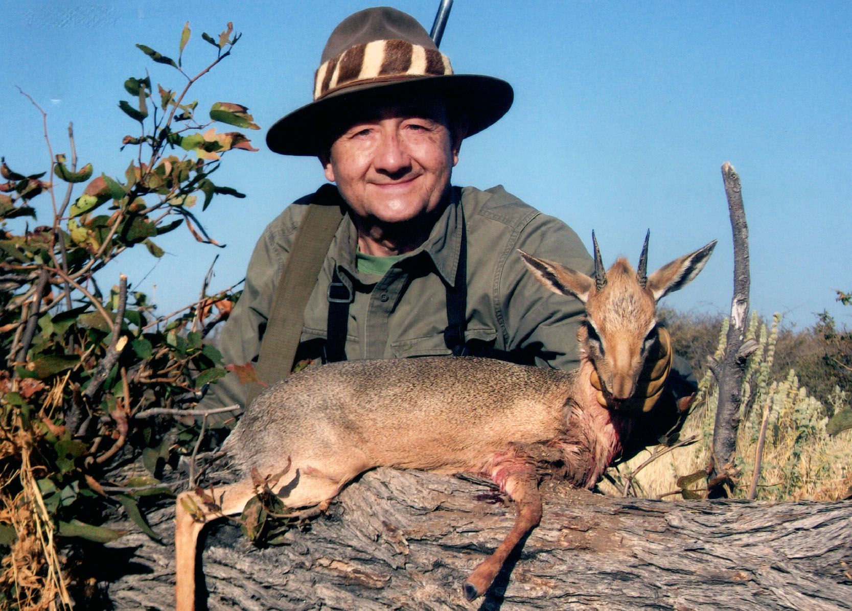 Damara Dikdik Big Game Hunting Records Safari Club International