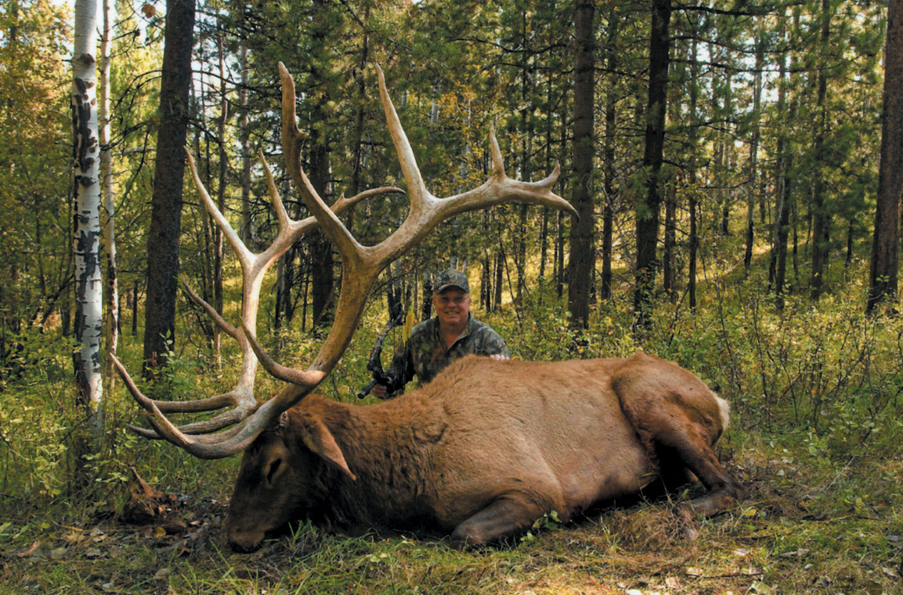 rocky mountain elk utah