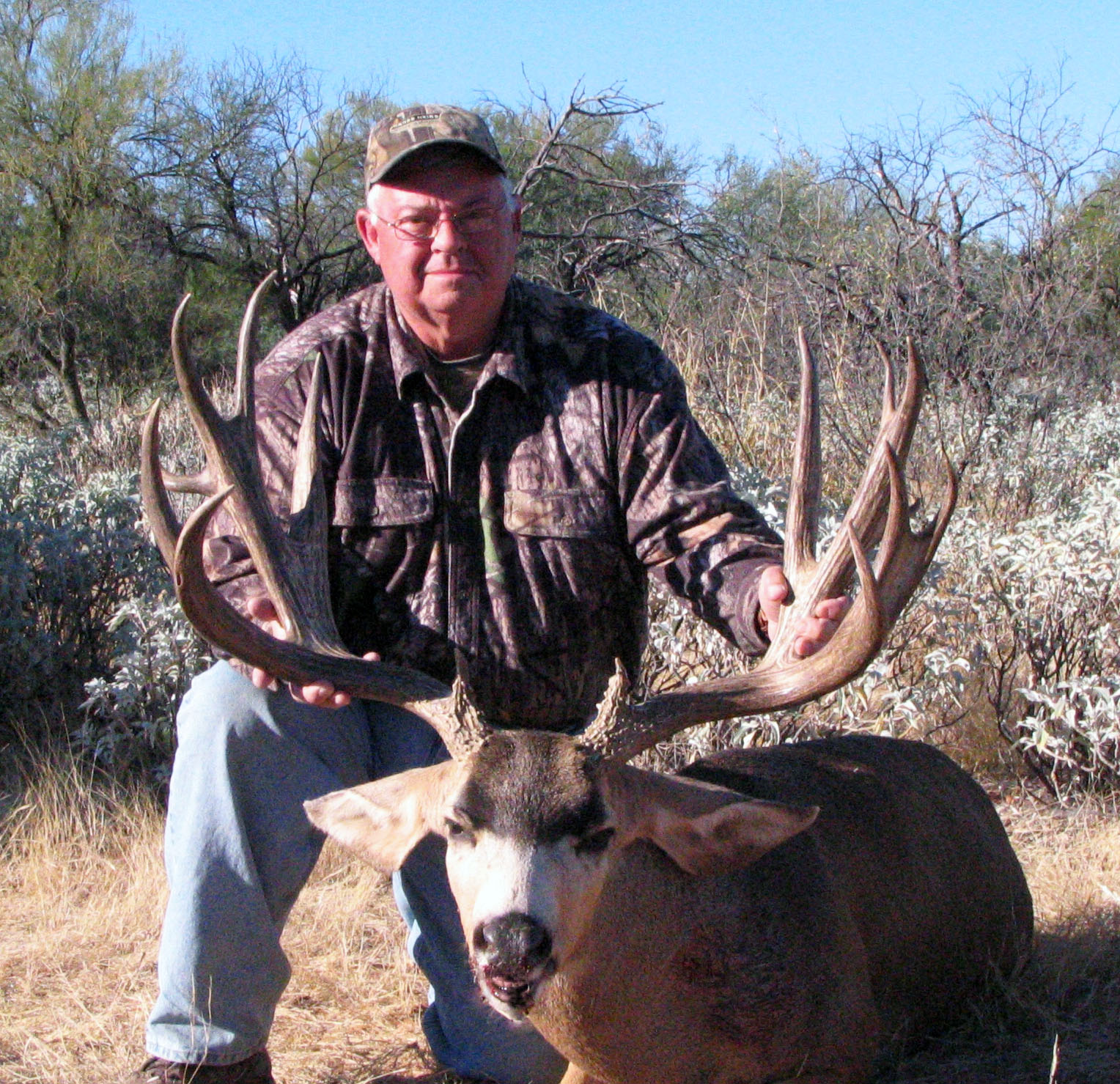 mule deer mule deer