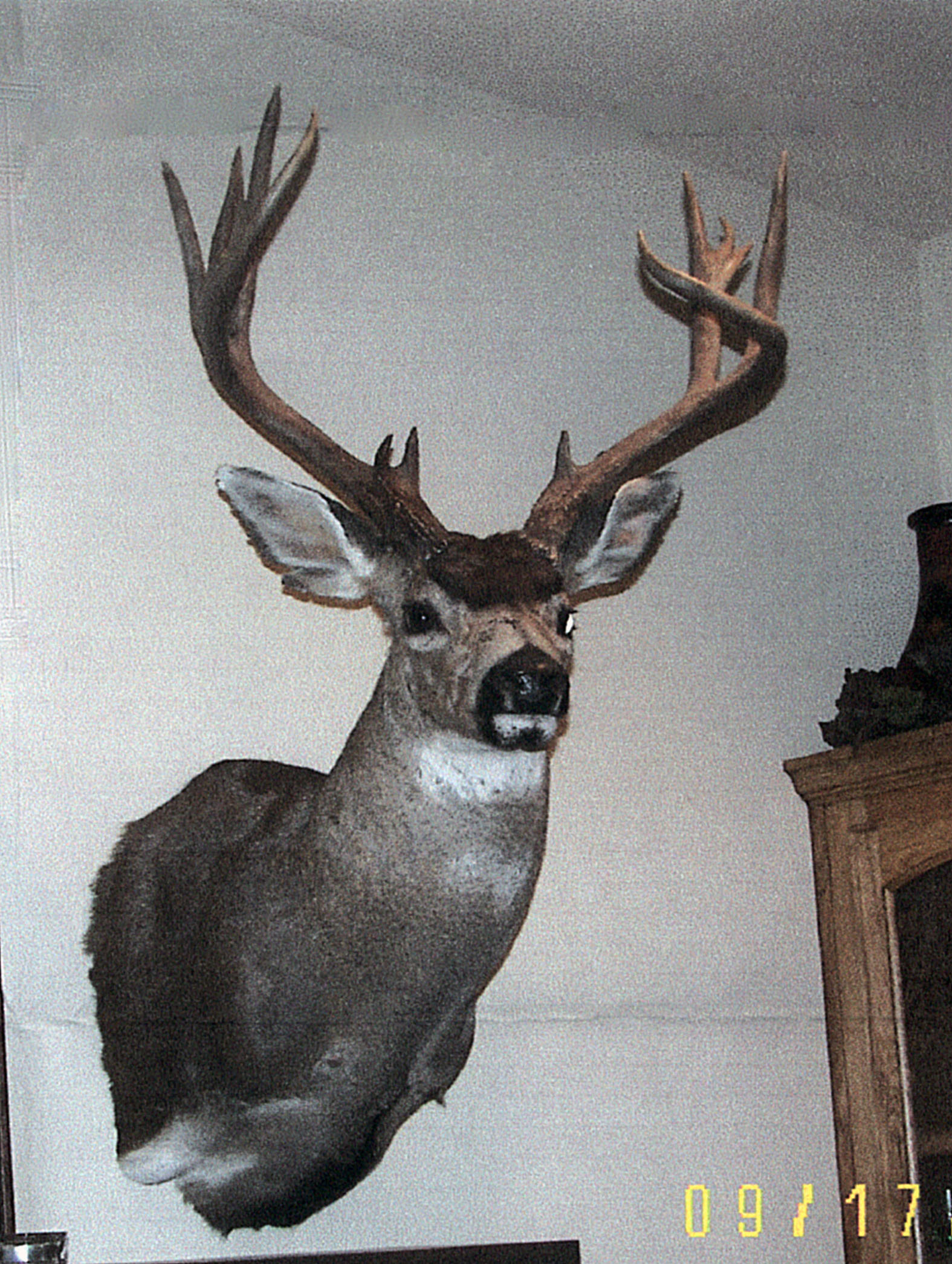 Columbia Blacktailed Deer Big Game Hunting Records Safari Club