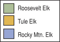 roosevelt elk range