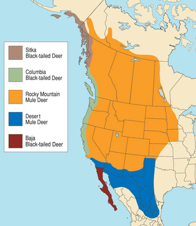 mule deer map