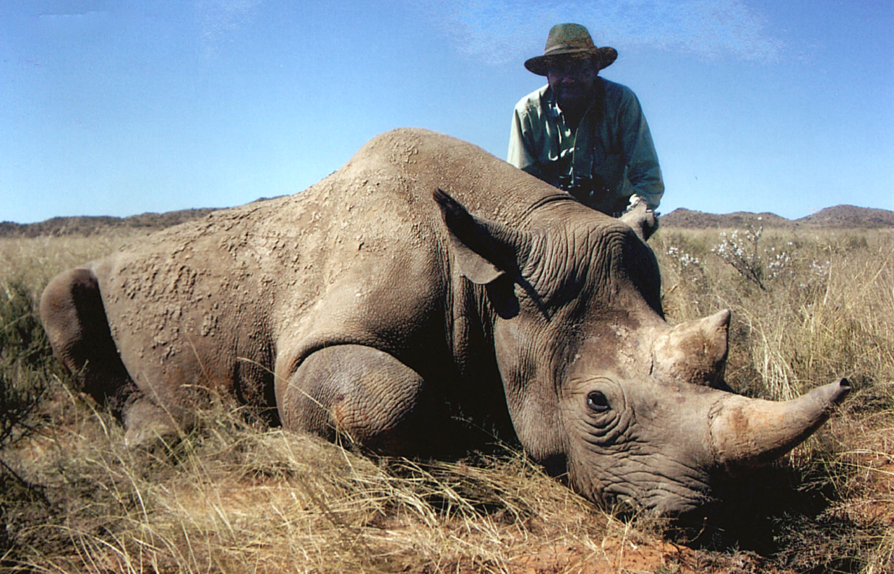 Black Rhinoceros | Big Game Hunting Records - Safari Club International ...