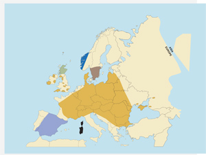 European Red Deer